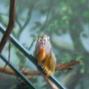 Meet your Posher,  ab